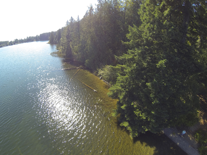 Lake_Nahwatzel_248_Acres_For_Sale_Paul_Strawn